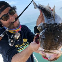 Magic(マジック) 釣果