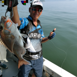 遊漁船 セトマリン 釣果