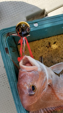 遊漁船　ニライカナイ 釣果