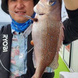 松栄丸 釣果
