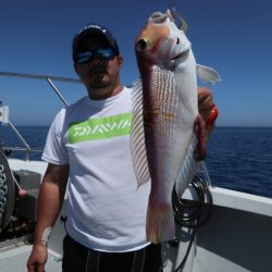 まるいち丸 ZERO-1 釣果