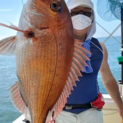 遊漁船 ニライカナイ 釣果