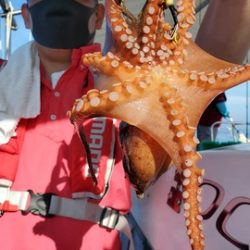 遊漁船 ニライカナイ 釣果