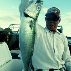 松福丸 釣果