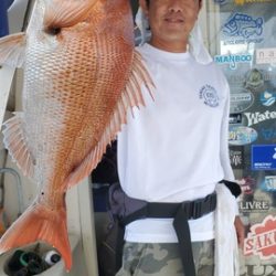 遊漁船　ニライカナイ 釣果