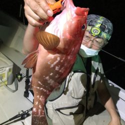 Magic（マジック） 釣果