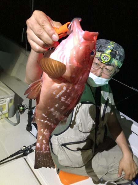 Magic（マジック） 釣果