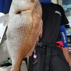 遊漁船 ニライカナイ 釣果