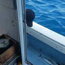 第五慶門丸 釣果