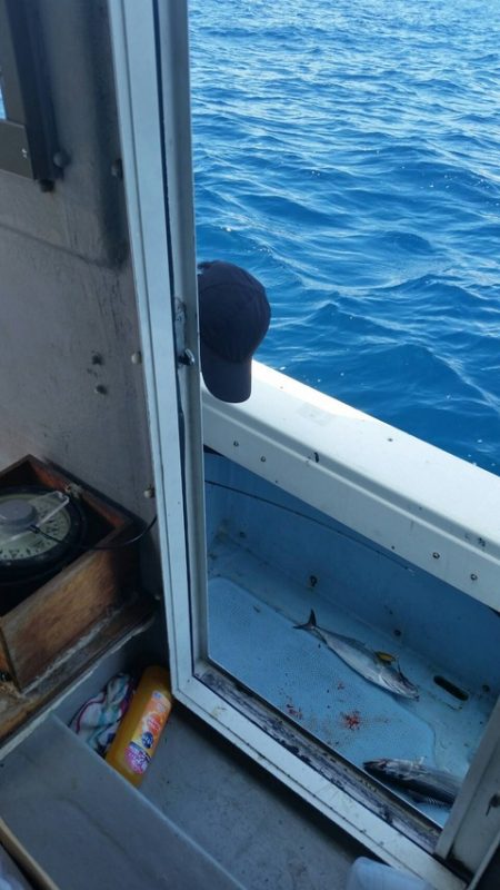 第五慶門丸 釣果