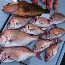 遊漁船 家入 釣果