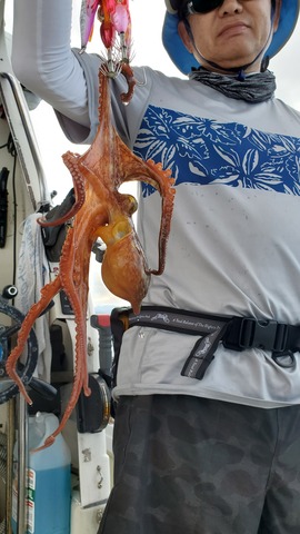 遊漁船　ニライカナイ 釣果