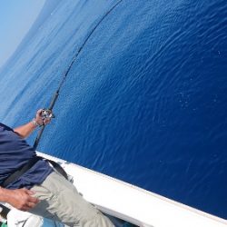 IDATEN(イダテン) 釣果