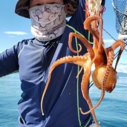 遊漁船　ニライカナイ 釣果