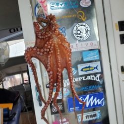 遊漁船 ニライカナイ 釣果