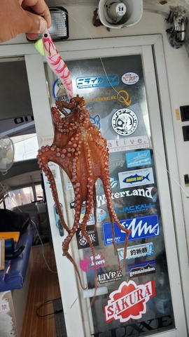 遊漁船 ニライカナイ 釣果