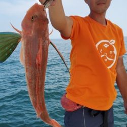 遊漁船 ニライカナイ 釣果