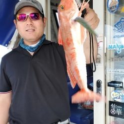 遊漁船 ニライカナイ 釣果