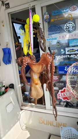 遊漁船 ニライカナイ 釣果