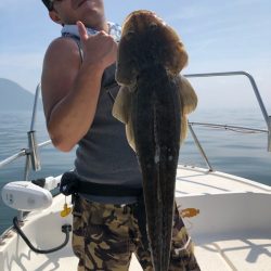 Magic(マジック) 釣果