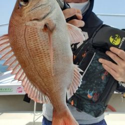 遊漁船　ニライカナイ 釣果