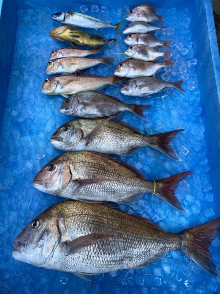 まるいち丸 ZERO-1 釣果