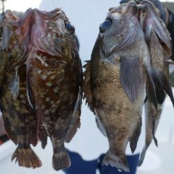 TOPGUN名古屋 釣果