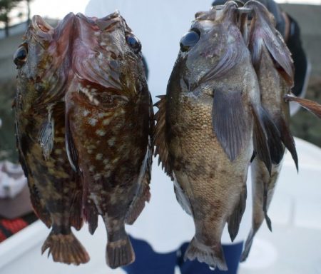 TOPGUN名古屋 釣果