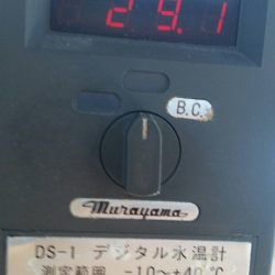 第五慶門丸 釣果