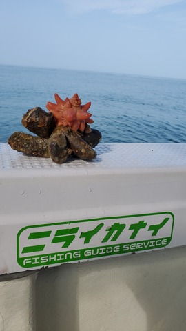 遊漁船 ニライカナイ 釣果