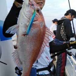 遊漁船 新鋭丸 釣果