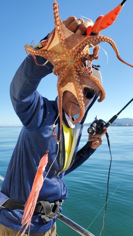 遊漁船　ニライカナイ 釣果