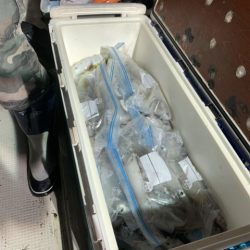 第八大安丸 釣果