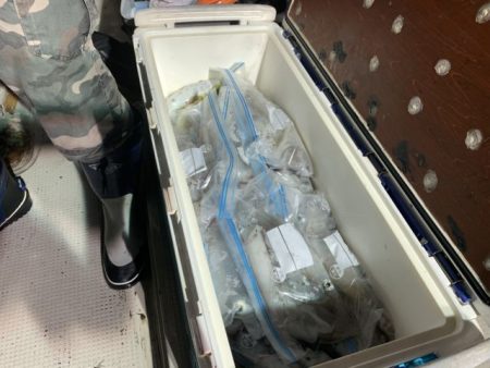 第八大安丸 釣果