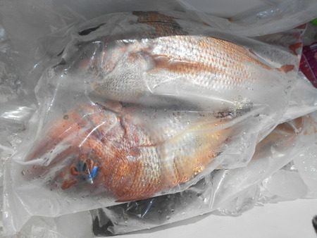 こうゆう丸 釣果