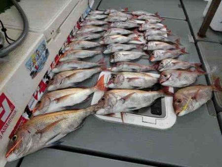 遊漁船 セトマリン 釣果