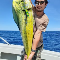 海峰 釣果