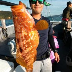 ファイヤードルフィン 釣果