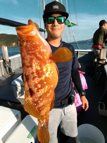 ファイヤードルフィン 釣果