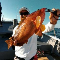 ファイヤードルフィン 釣果