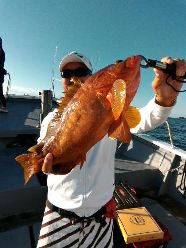 ファイヤードルフィン 釣果