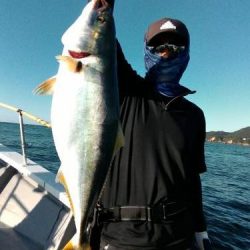 ファイヤードルフィン 釣果