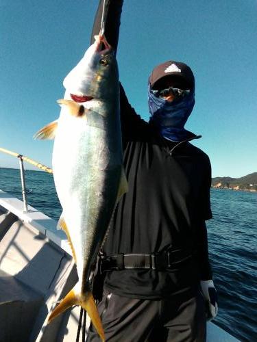 ファイヤードルフィン 釣果