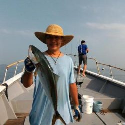 ファイヤードルフィン 釣果