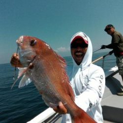 ファイヤードルフィン 釣果