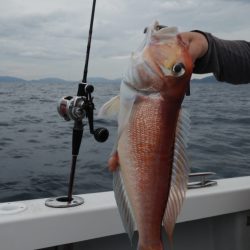 まるいち丸 ZERO-1 釣果