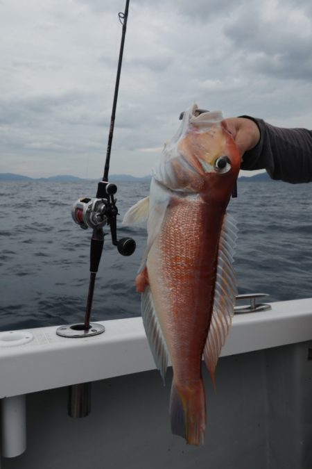 まるいち丸 ZERO-1 釣果