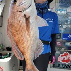 遊漁船　ニライカナイ 釣果