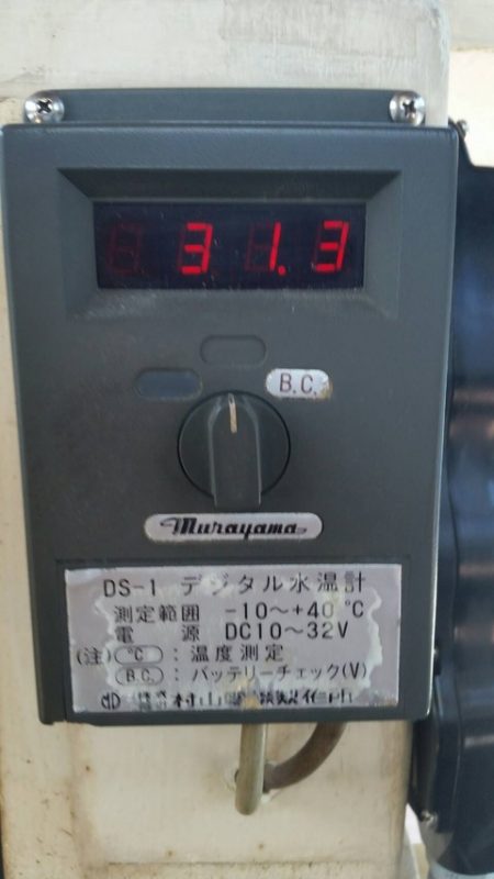 第五慶門丸 釣果