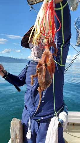 遊漁船　ニライカナイ 釣果